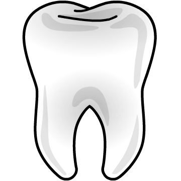 Tooth