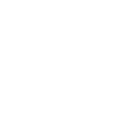 Sole