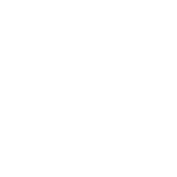 Euro
