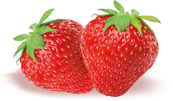 Fragole